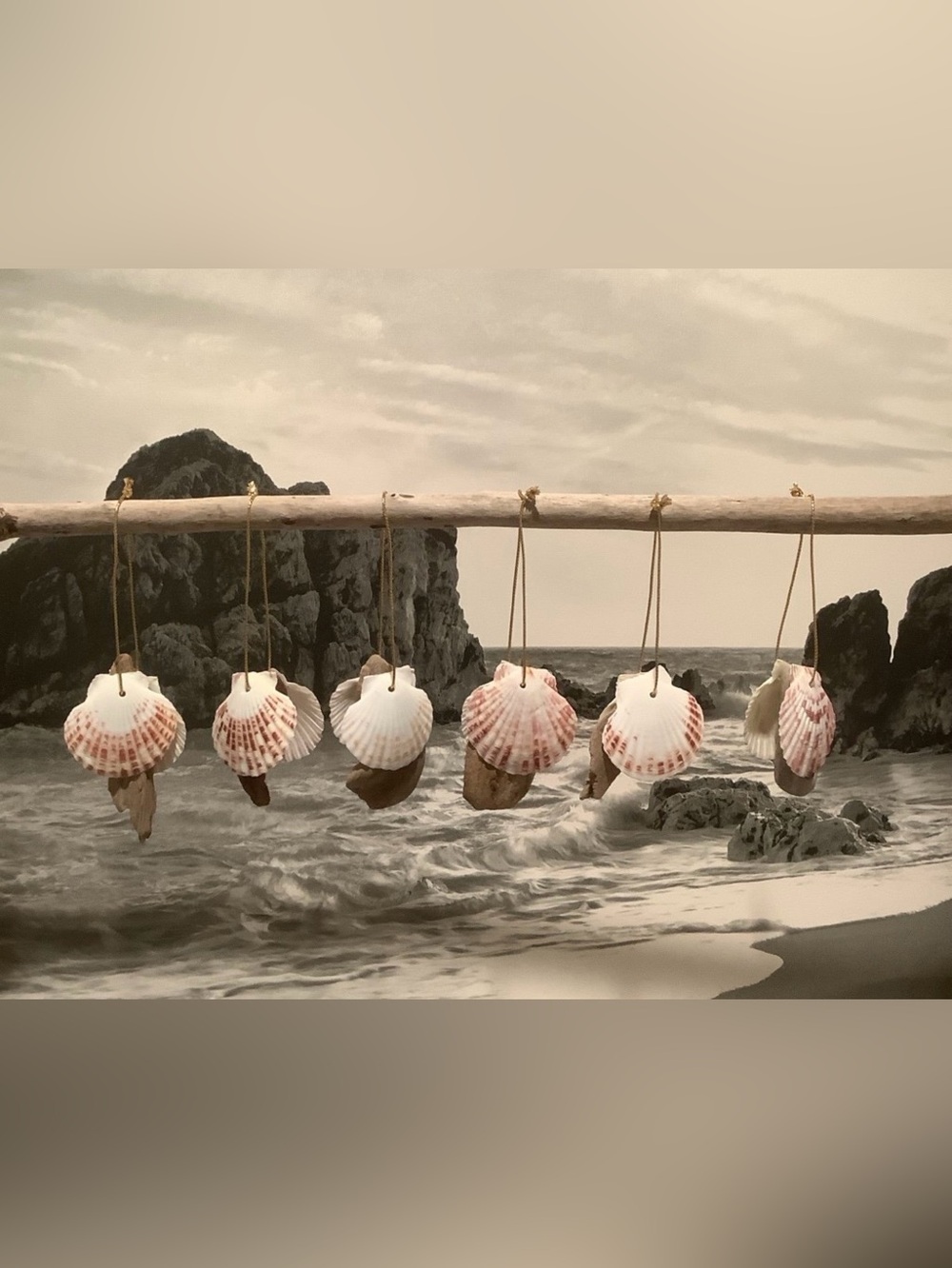Driftwood Art,Driftwood & Seashell Ornaments, Trinkets, Christmas Decor